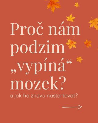 Nevíte, co jste chtěli… a ani proč jste přišli do místnosti? 😅 Možná za to nemůže káva, ale podzimní Váta. Zkuste pár...